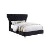 Bellagio 89 in. W Black Tufted Velvet Queen Platform Bed with Acrylic Legs by Best Master Furniture
