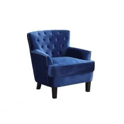 Branson Velvet with Nailhead Trim Accent Chair, Blue by Best Master Furniture