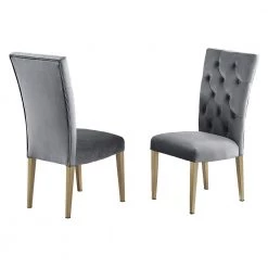 Tyrion Gray Tufted Velvet Side Chair in Brushed Gold (Set of 2) by Best Master Furniture