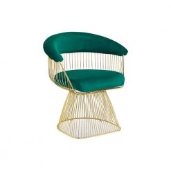 Alexis Green Velvet With Gold plated frame Accent Chair by Best Master Furniture
